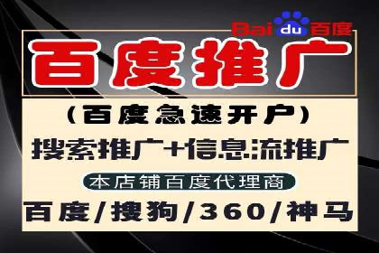 优化竞价SEM：成功案例分享
